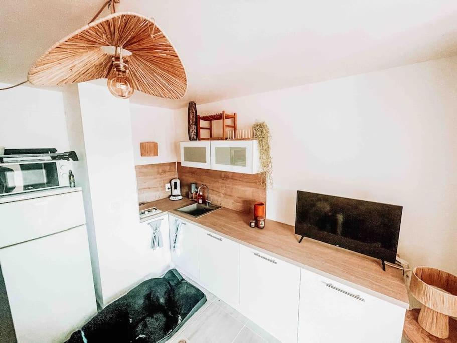 La Casita ,Appartement Face A L'Etang Le Barcarès Esterno foto